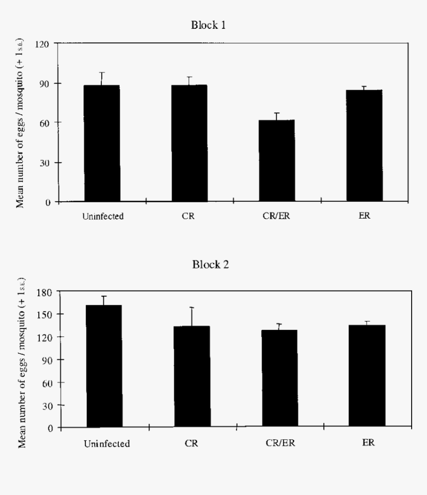 High Fat Diet Cidea Cidec, HD Png Download