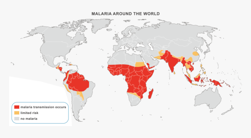 2014 Fifa World Cup, HD Png Download