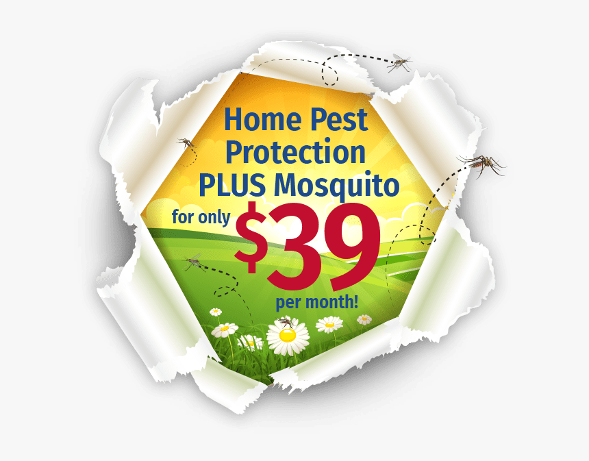 Home Pest Protection Plus Logo - Graphic Design, HD Png Download
