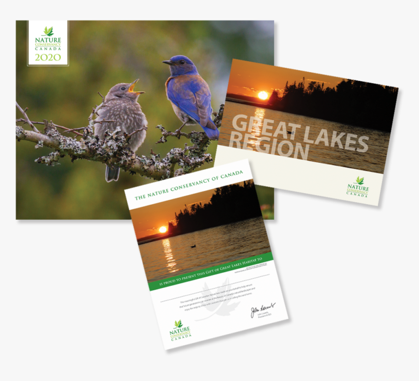 Great Lakes Region - Canada, HD Png Download