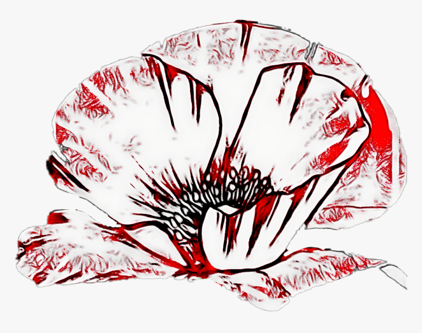 Flower Fleur Drawing Dessin, HD Png Download