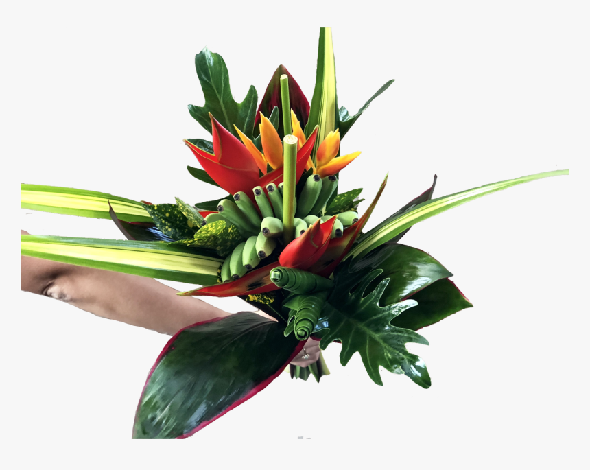 Calipso Medium Tropical Centerpieces, HD Png Download