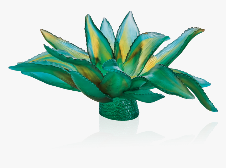 05664 Daum, HD Png Download