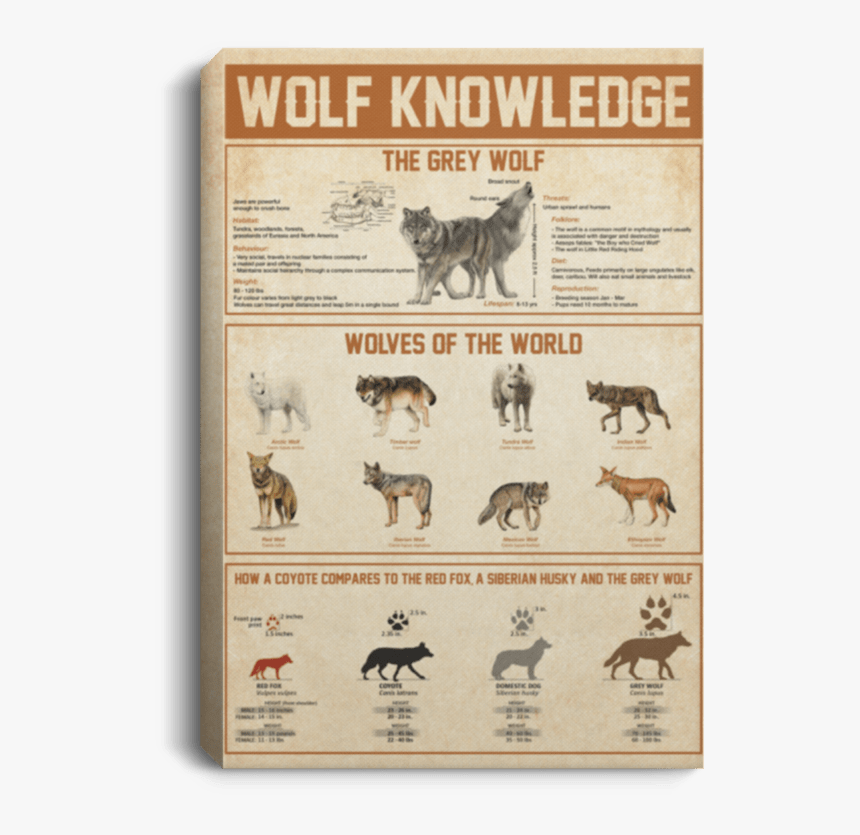 Wolf Knowledge Poster, HD Png Download
