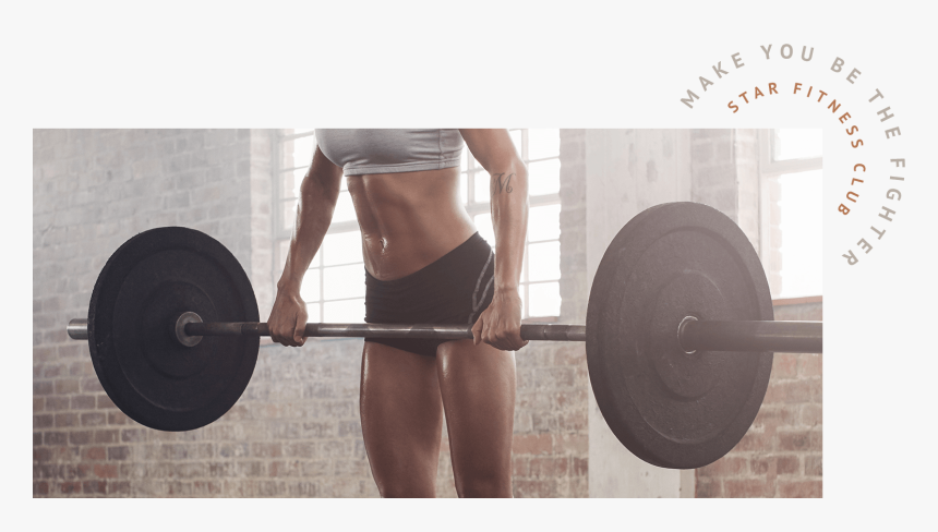 Bench, HD Png Download