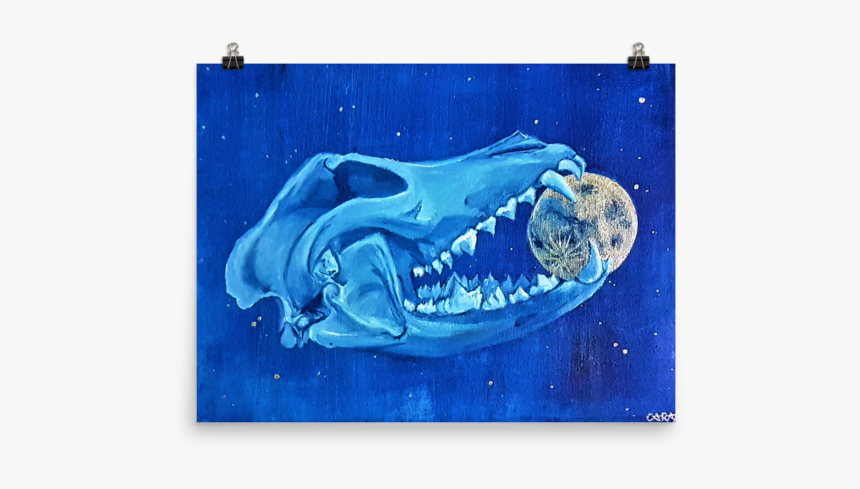 Humpback Whale, HD Png Download