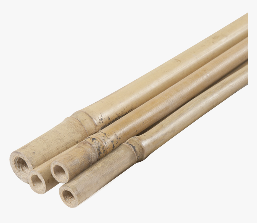 Bambú D8 Pack 4 Unit - Wood, HD Png Download
