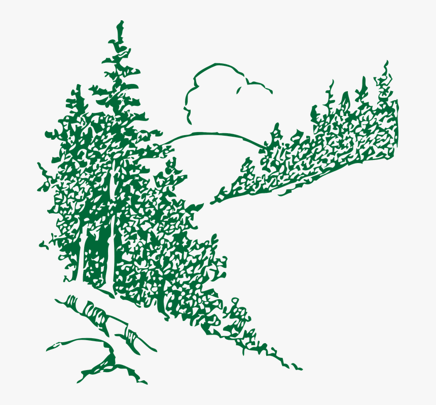 Mountain, Cloud, Trees, Landscape, Pine - Black And White Pine Trees Clipart, HD Png Download