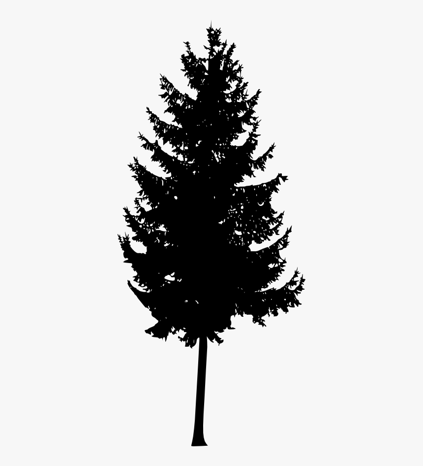 30 Pine Tree Silhouette Vol - Mountain Ash Tree Silhouette, HD Png Download