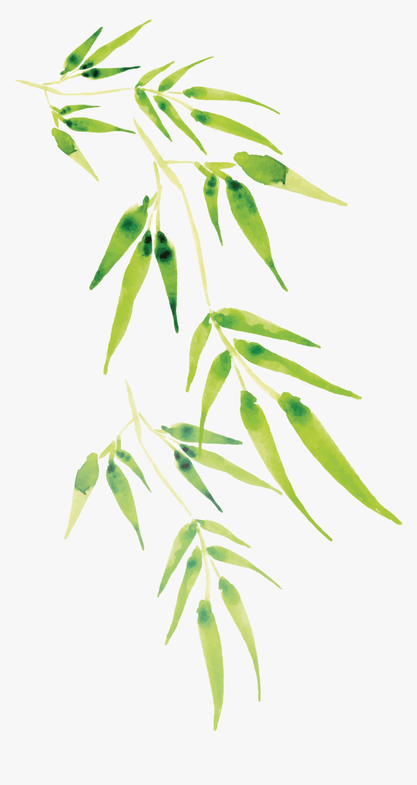 Cartoon Transprent Png Free - Bamboo Leaves Cartoons Png, Transparent Png