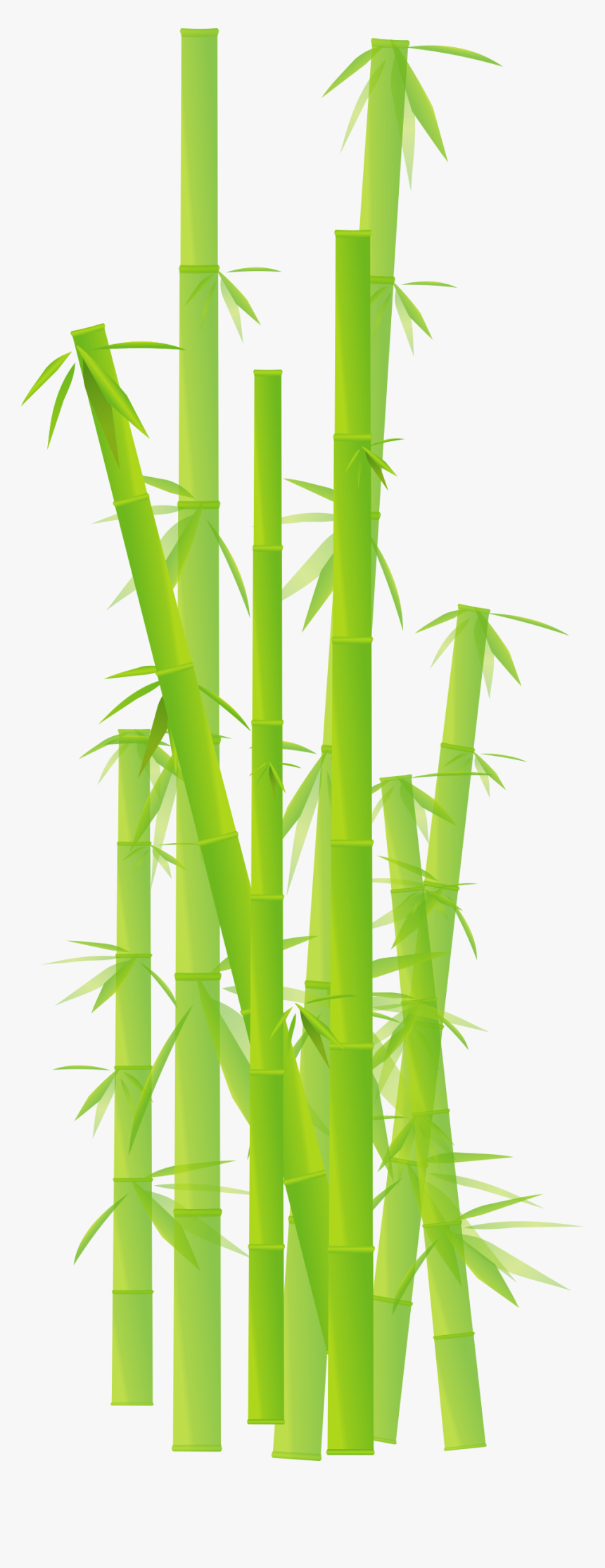 Japan Clipart Bamboo - Transparent Bamboo Cartoon, HD Png Download