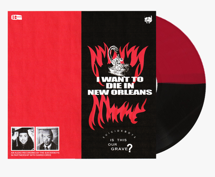 Vinil Png, Transparent Png