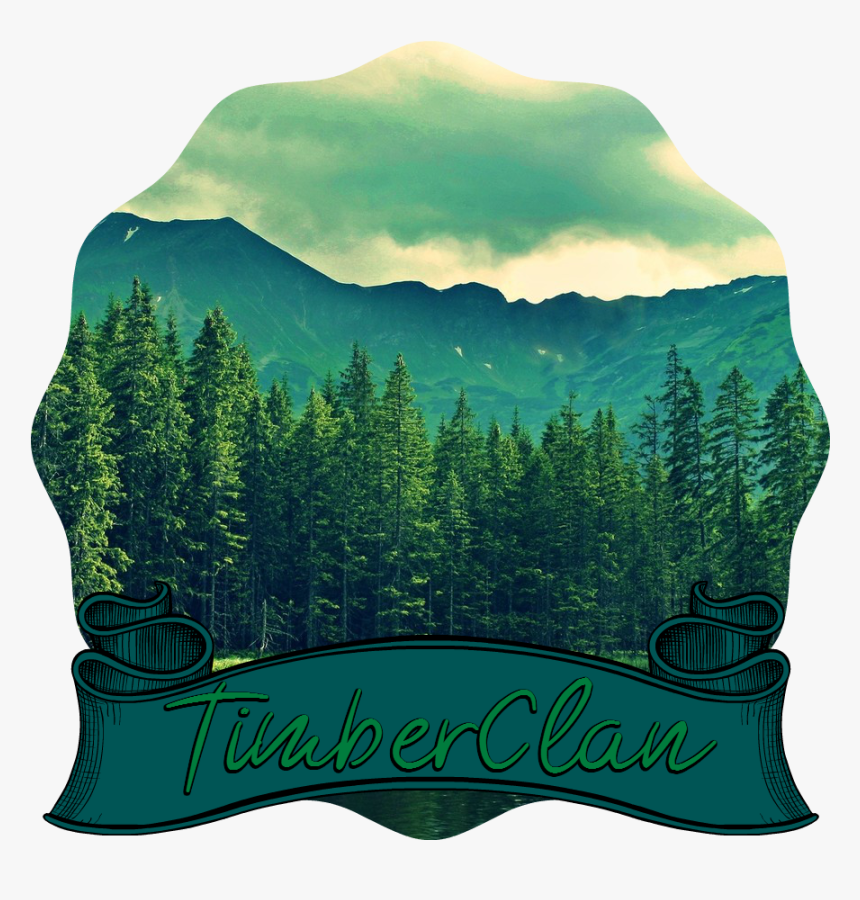 Pine Trees Near Mountain Lake , Png Download - Forest With Lake Background, Transparent Png