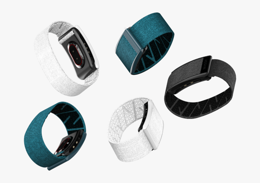 Belt, HD Png Download