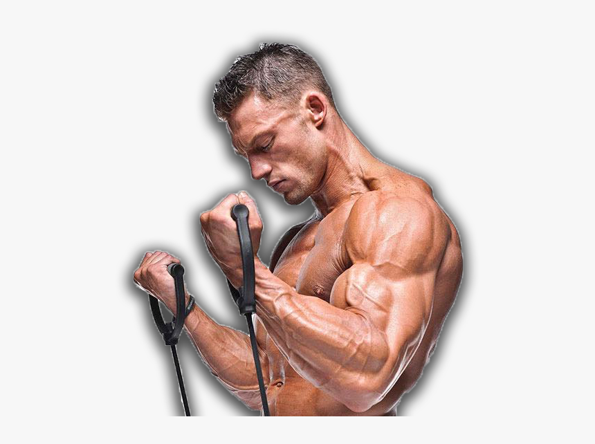 Resistance - Build Muscle With Bands, HD Png Download