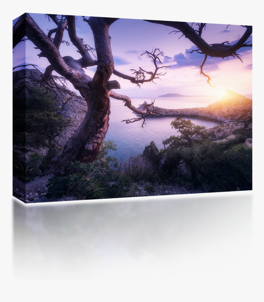 Fisher Television, HD Png Download