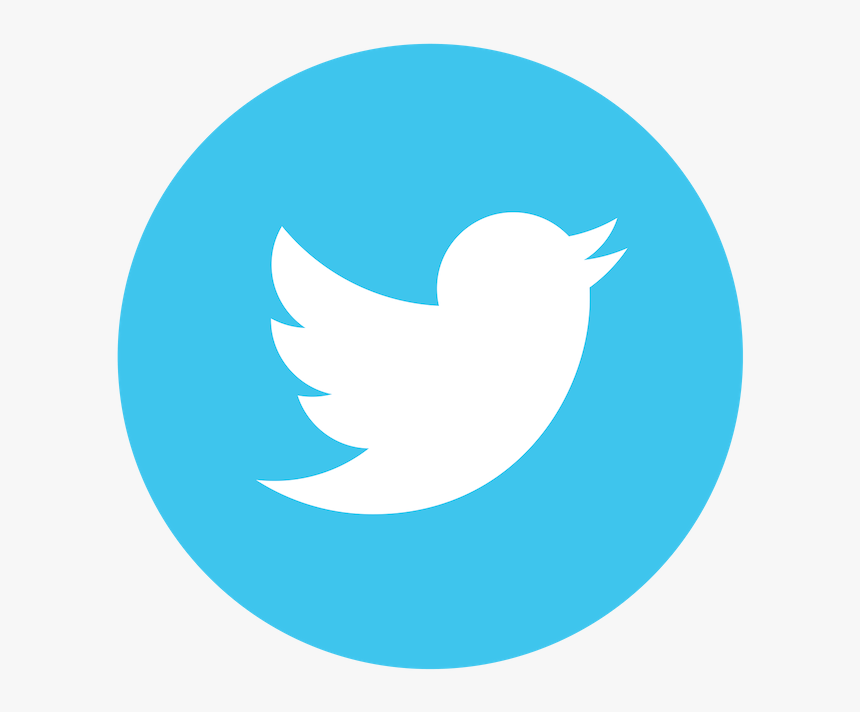 Transparent 100 Percent Png - Transparent Twitter Logo Png, Png Download