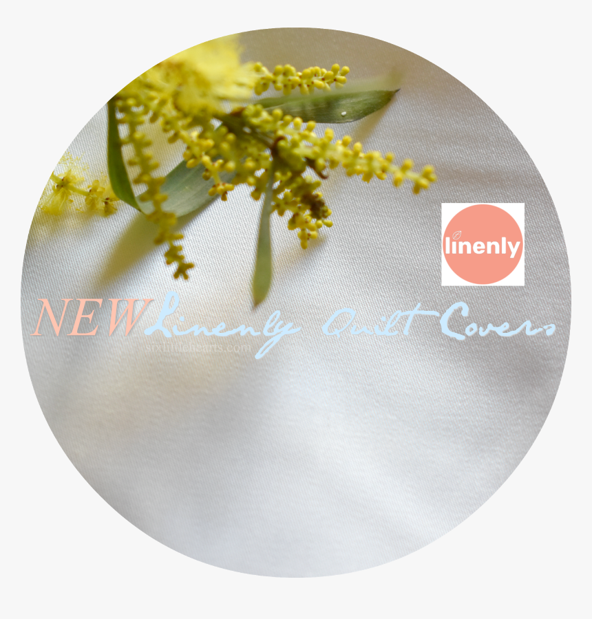 Flip-flops, HD Png Download