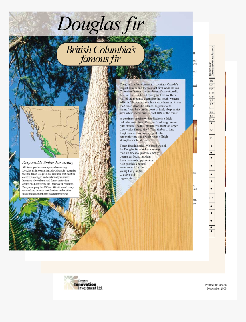 Douglas Fir Png, Transparent Png