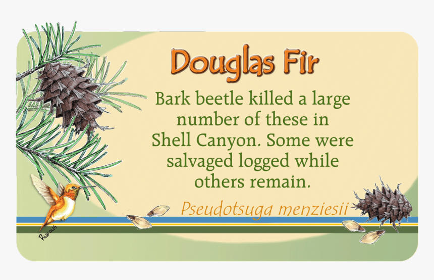 Black Crown, HD Png Download