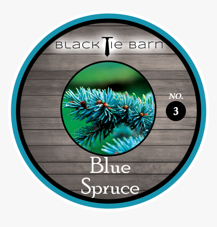 Blue Spruce, HD Png Download