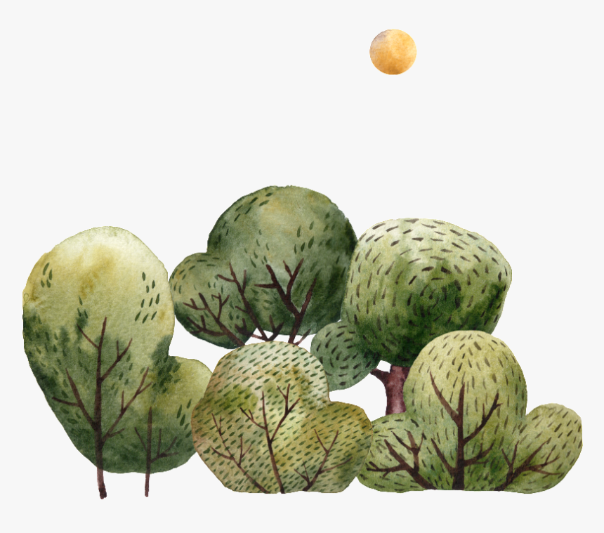 Pintado A Mano De Dibujos Animados Arboles Png Transparente - Watermelon, Png Download