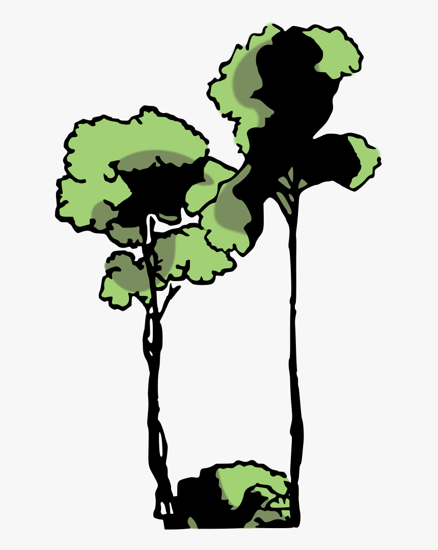 Edo Wood Clip Art - De Arboles De La Selva, HD Png Download