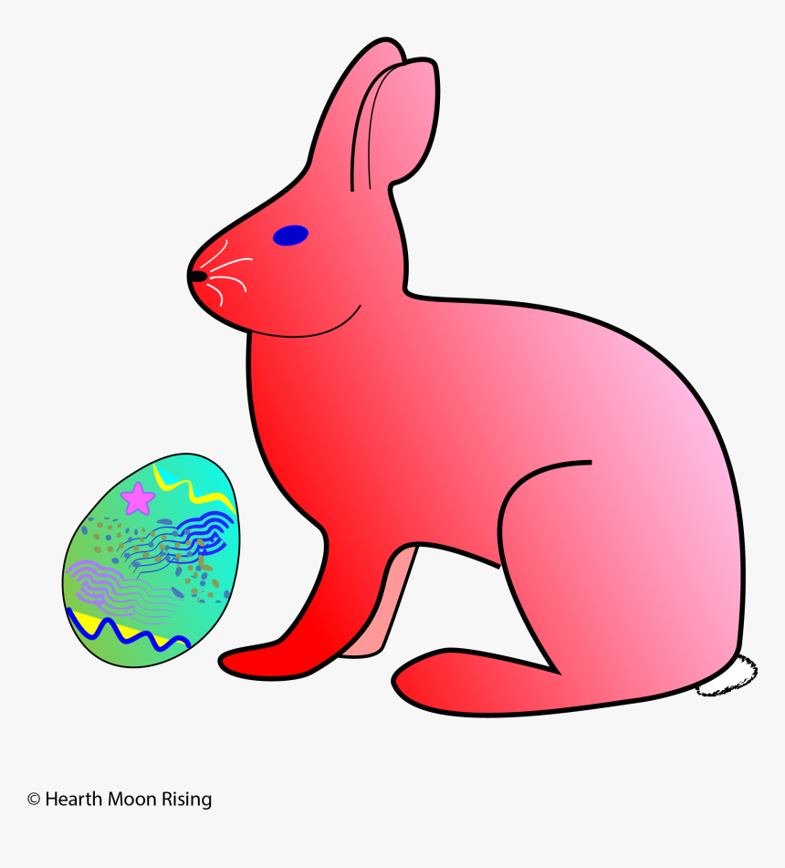 Domestic Rabbit, HD Png Download