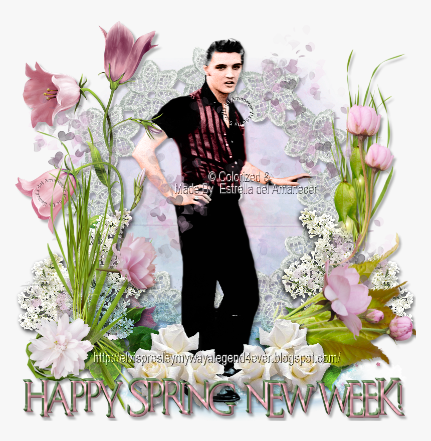 Elvis Presley Happy Spring New Week - Artificial Flower, HD Png Download