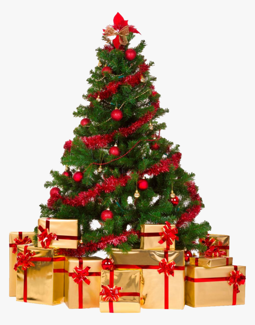 Christmas Tree Png - Transparent Christmas Tree Png, Png Download