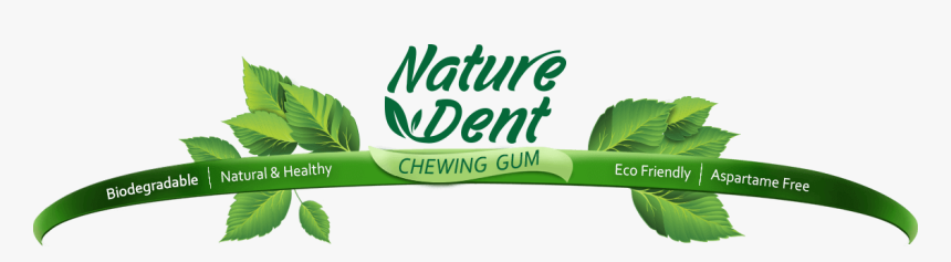 Banner, HD Png Download