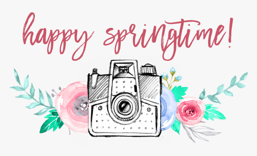 Garden Roses, HD Png Download