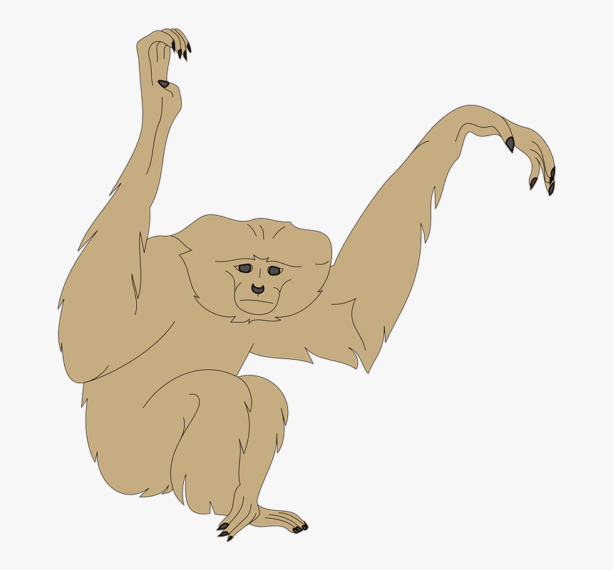 Monkey, Face, Arms, Raised, Animal, Fur, Wildlife - Monkey Arms, HD Png Download