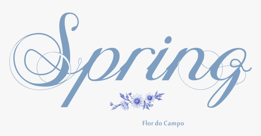 Linie Na Bloga, HD Png Download