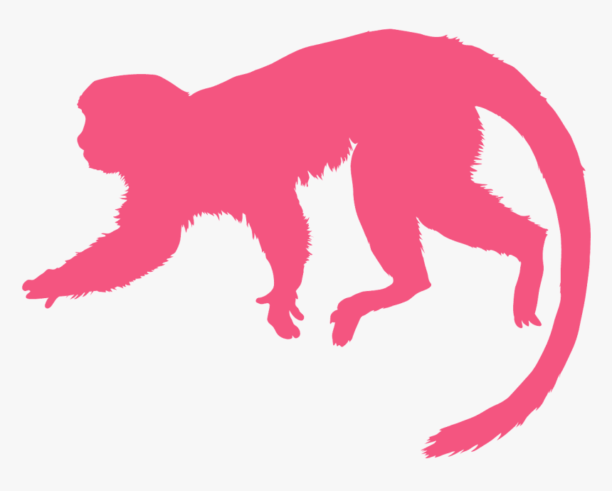 Orange Monkey Silhouette, HD Png Download