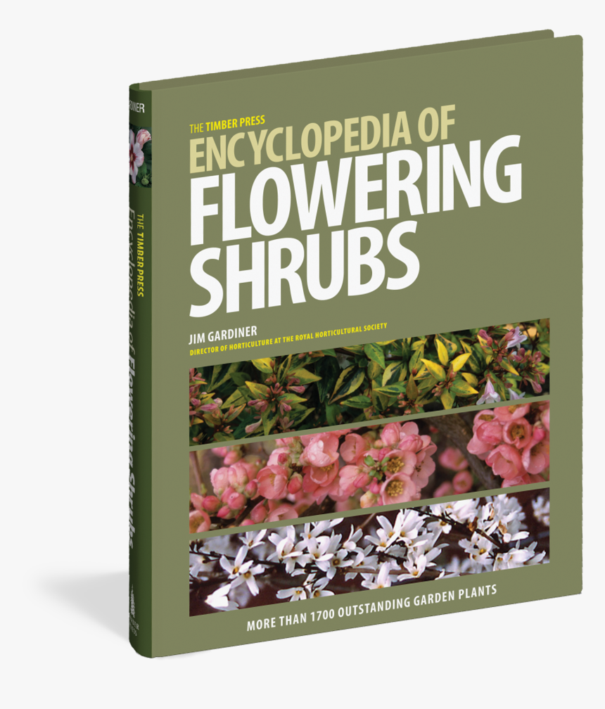 Cover - The Timber Press Encyclopedia Of Flowering Shrubs, HD Png Download