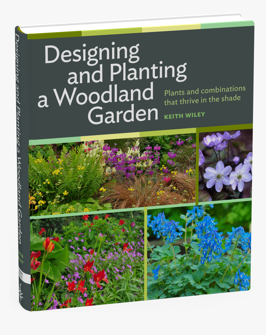Cover - Designing And Planting A Woodland Garden: Plants And, HD Png Download