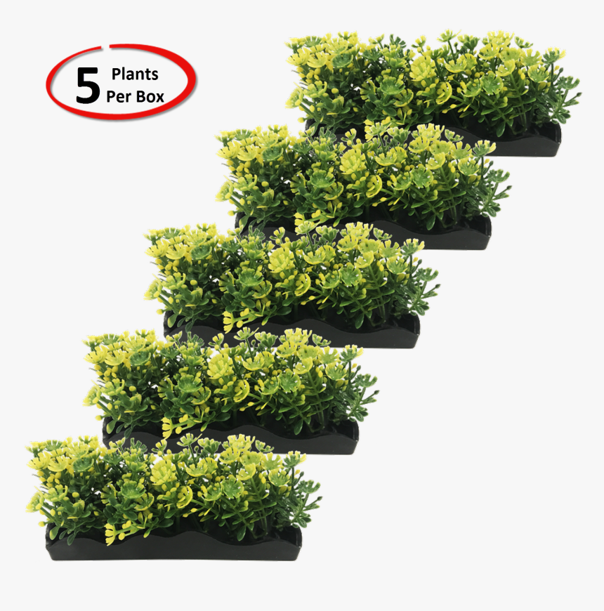 Grass, HD Png Download
