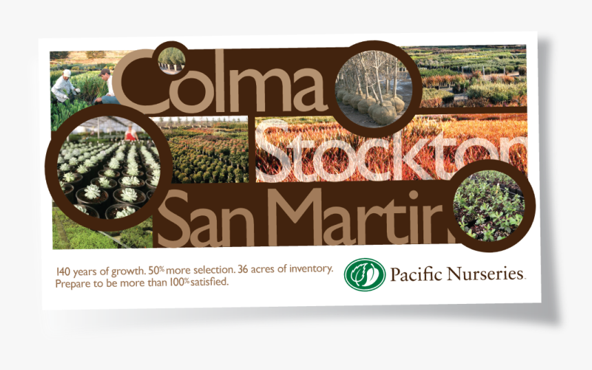Pacific Nurseries Advertising - Pine, HD Png Download
