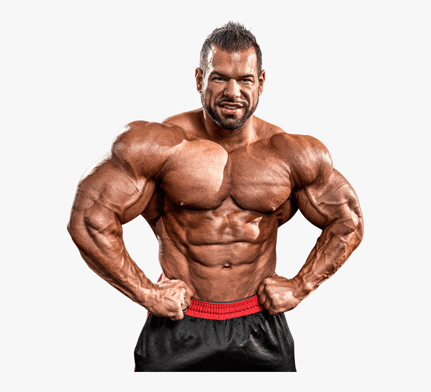 300 Weight Bodybuilding, HD Png Download