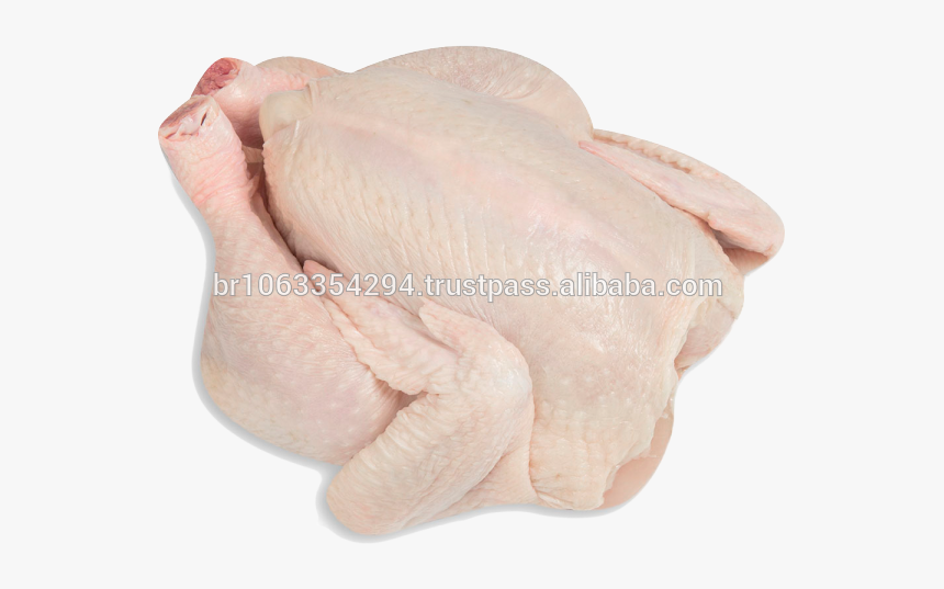 Brazil Halal Frozen Whole Chicken, Frozen Chicken Paws - Whole Chicken Frozen, HD Png Download