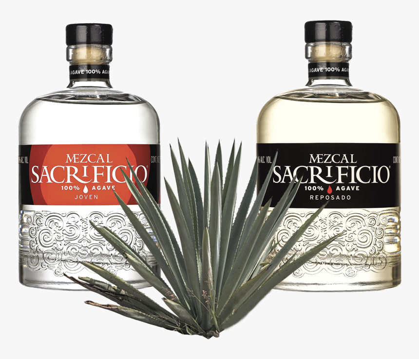 Botellas Mezcal Sacrificio - Mezcal Sacrificio, HD Png Download