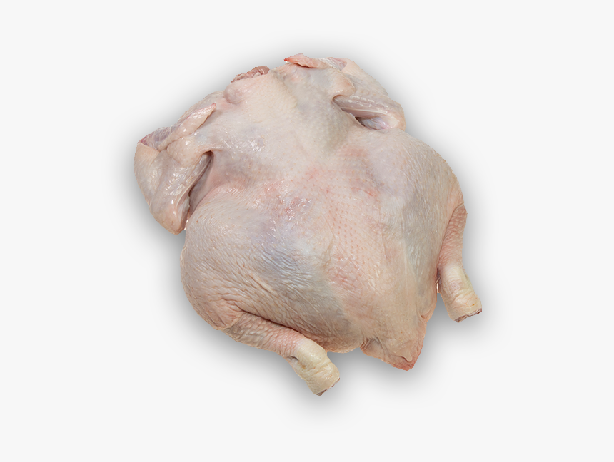 Turkey Meat , Png Download - Turkey Meat, Transparent Png