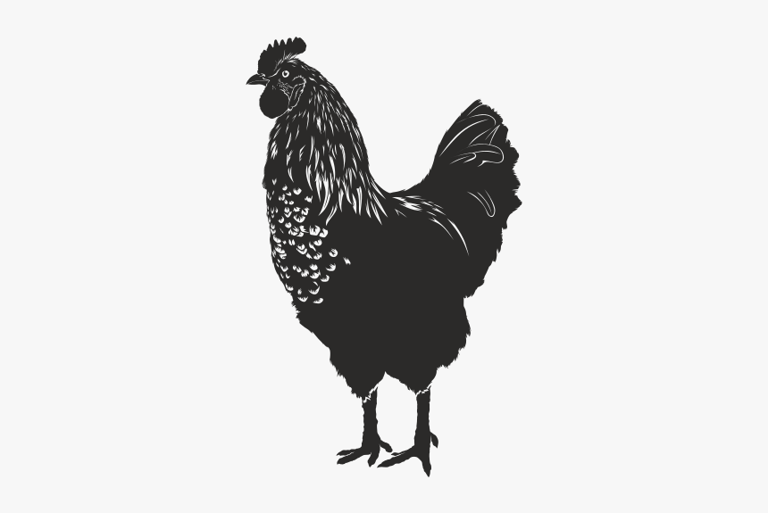 Rooster, HD Png Download