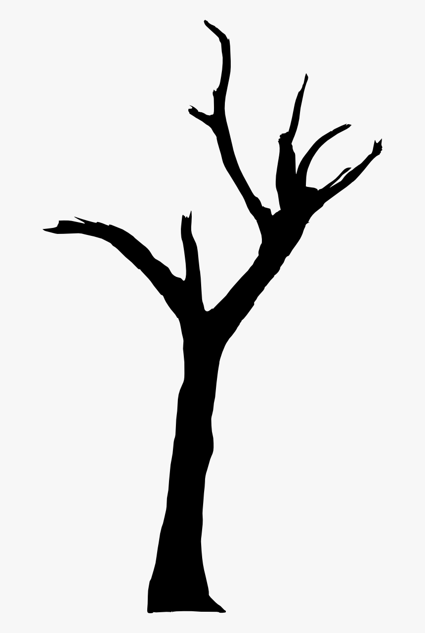 Deadvlei, HD Png Download