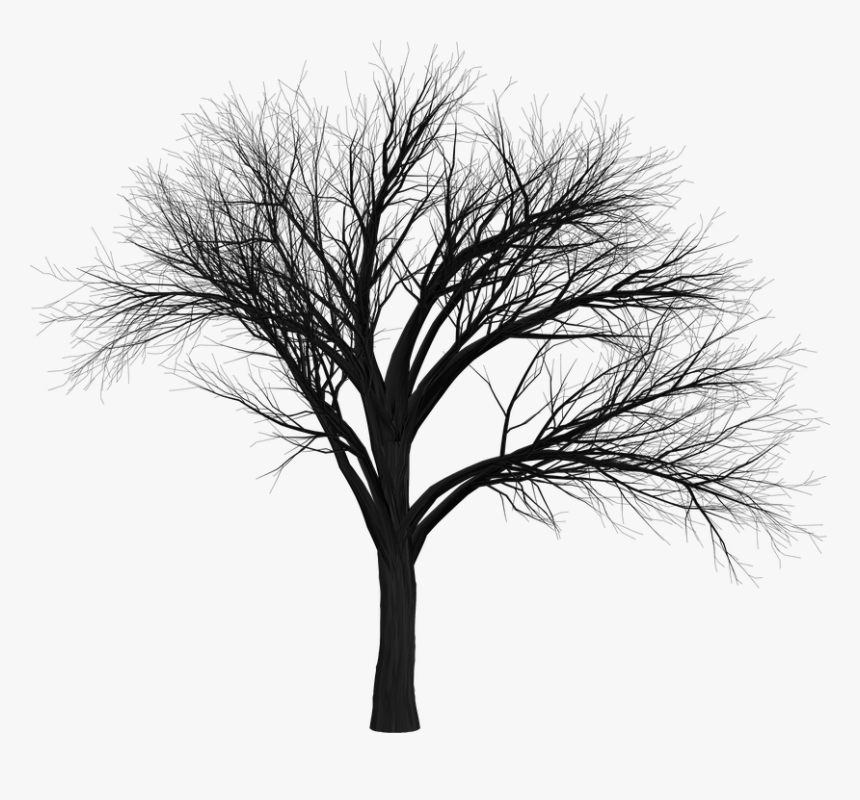 Tree, Branch, Empty, Isolated, Black, Spooky, Halloween - Allama Iqbal Poetry In Urdu Sh, HD Png Download