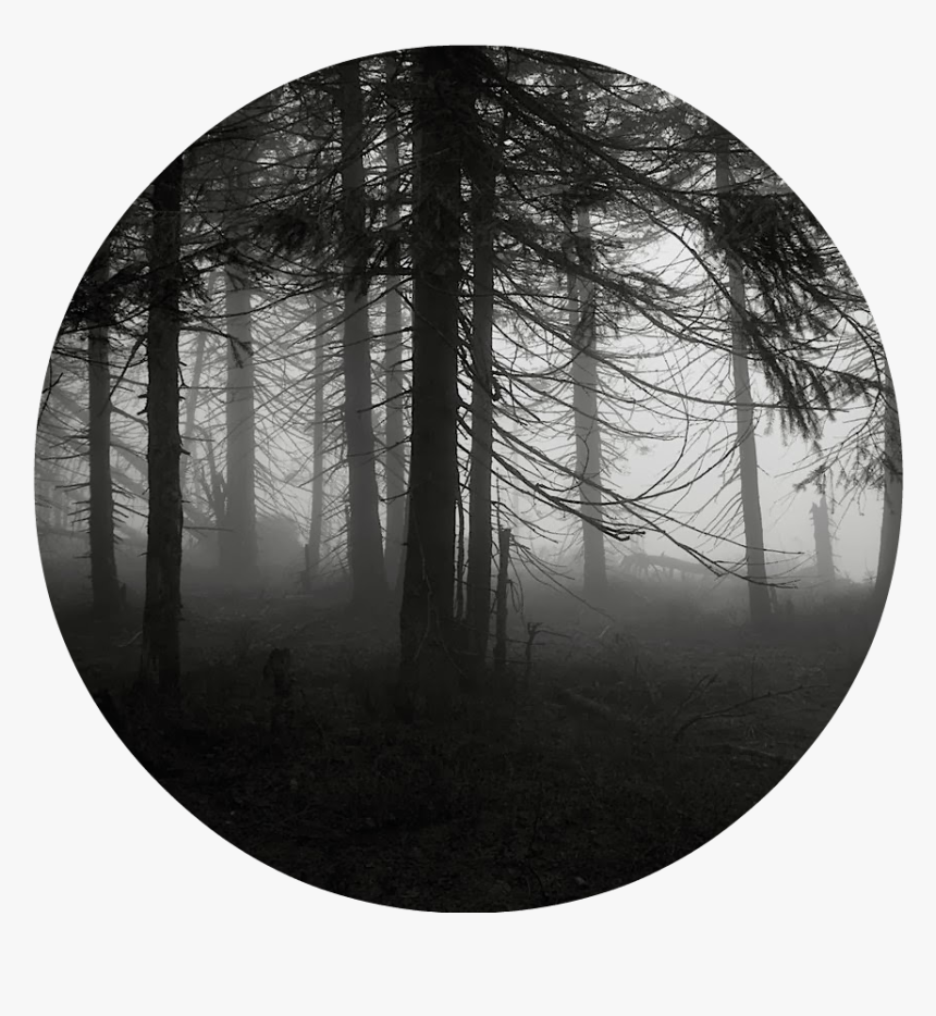 Spooky Forest 1 By Miwicz D2pg9gv - Anakin Force Ghost Art, HD Png Download