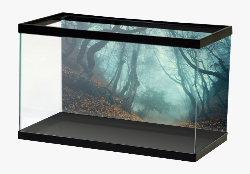 Creepy Forest - River Rock Aquarium Background, HD Png Download