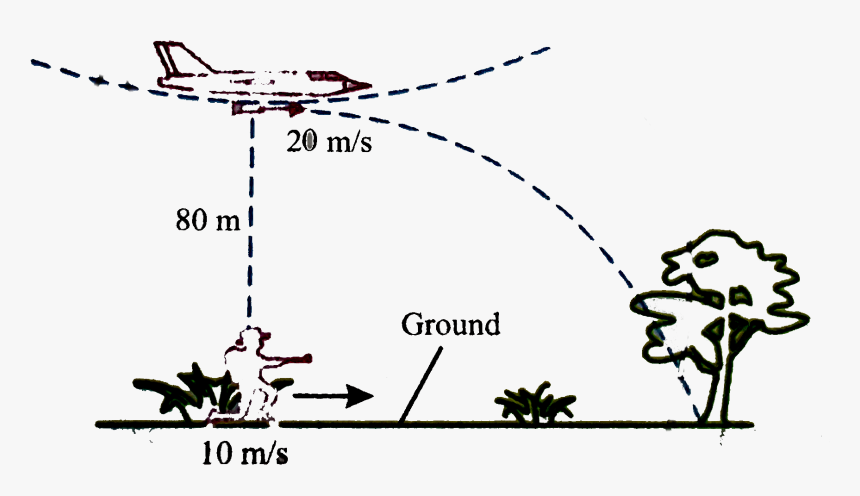 Cartoon, HD Png Download