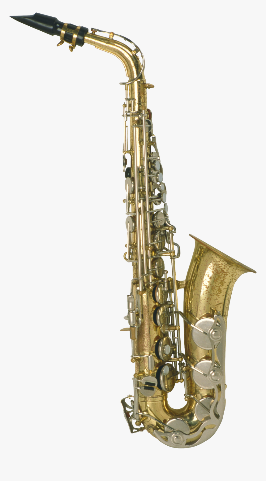 Tenor Trevor James Signature Reference, HD Png Download